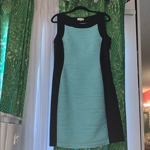 Calvin Klein Dress NWT